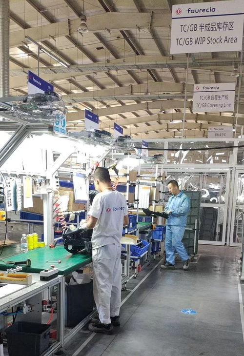 大連雙喜 智能制造樹標桿，家政服務暖萬家